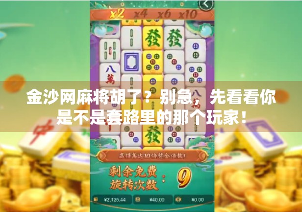 金沙网麻将胡了？别急，先看看你是不是套路里的那个玩家！