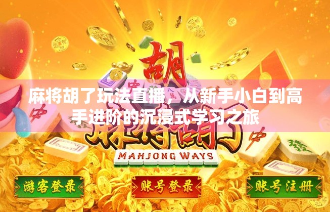 麻将胡了玩法直播，从新手小白到高手进阶的沉浸式学习之旅